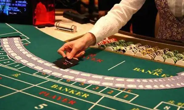 333bet bet
